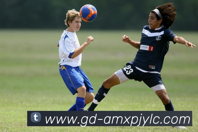 澳门新葡京娱乐平台生态图